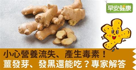 生薑發芽|小心營養流失、產生毒素！薑發芽、發黑還能吃？專家。